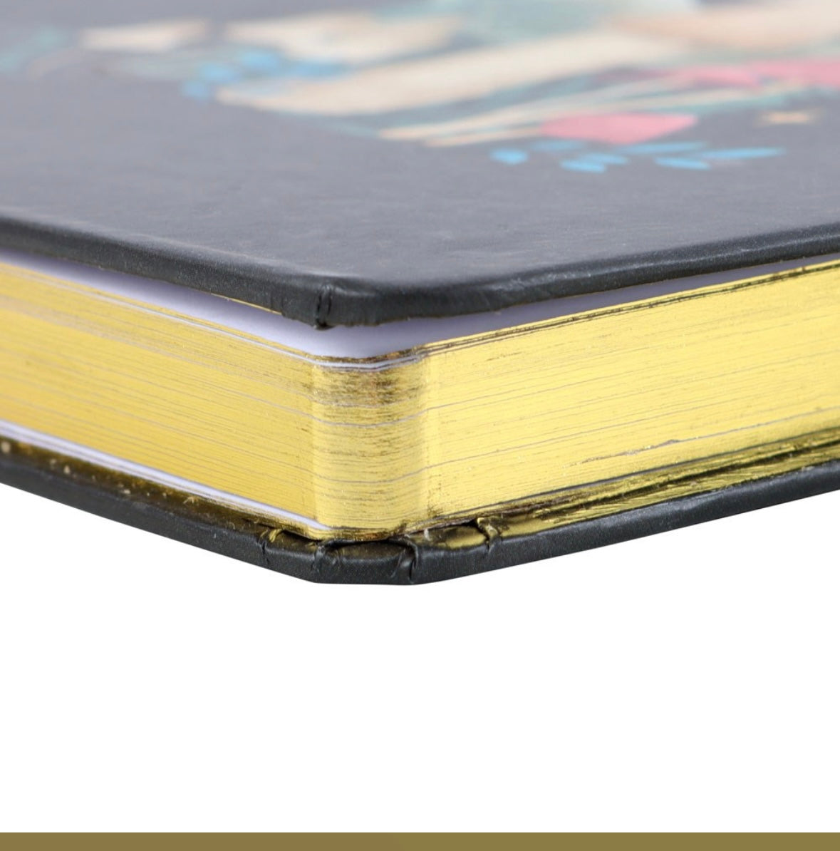 Forest mushroom notebook