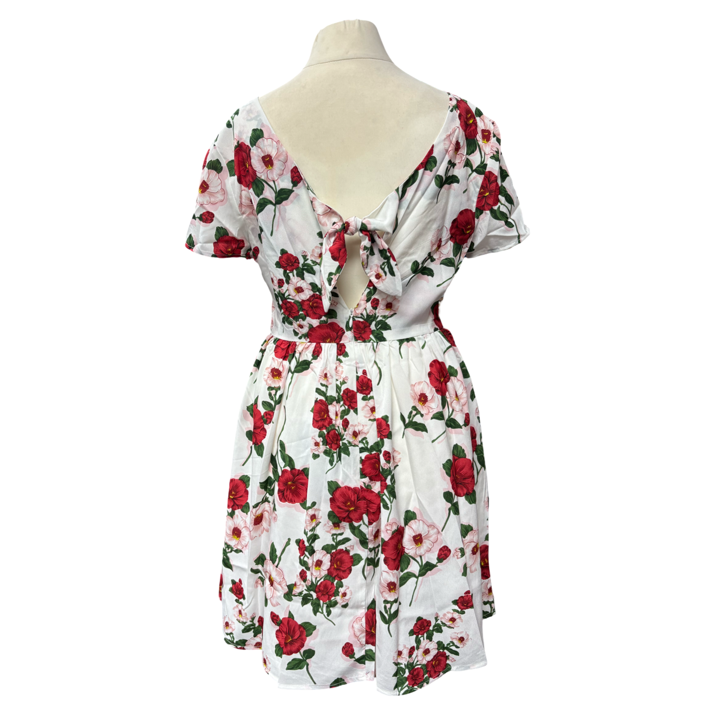 Rose Dress with tie back detail