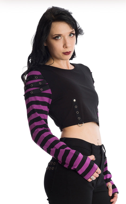 Lycoris Purple Striped Crop Top