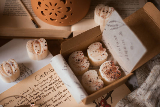 Caramel Apple Pumpkin Patch / Autumn Fall Soy Wax Melts