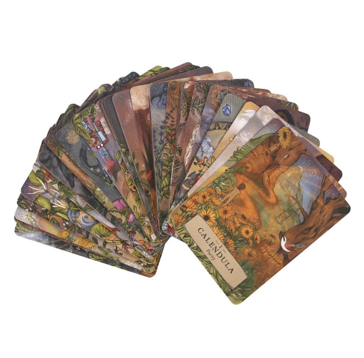 The Herbal Astrology Oracle Card Deck