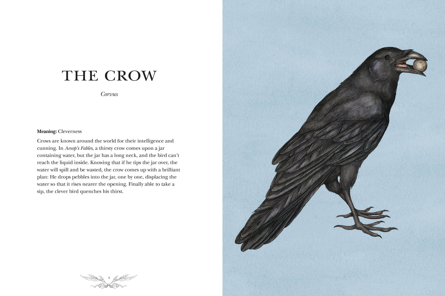 Ornithography