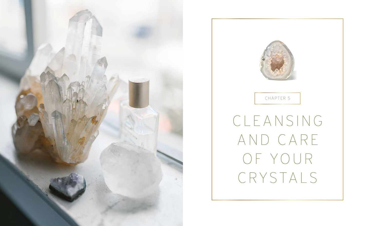 Crystal Companions