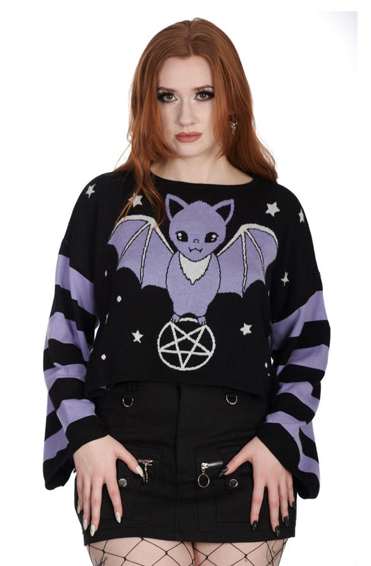 Kamiko Pastel Bat Oversized Jumper