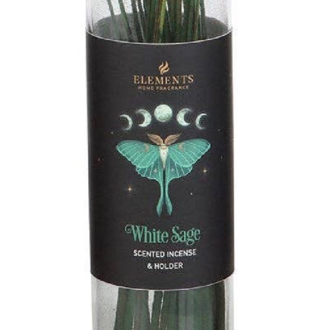 Dark Forest Jar of Incense sticks