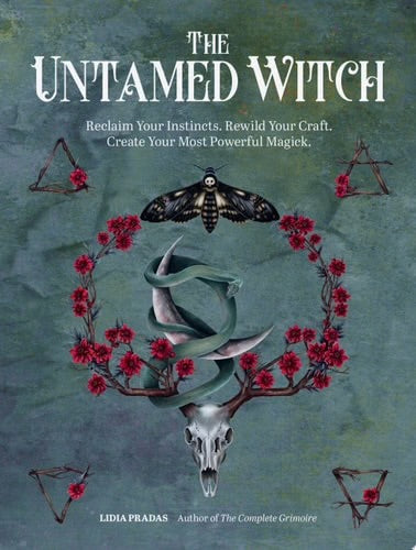 The Untamed Witch