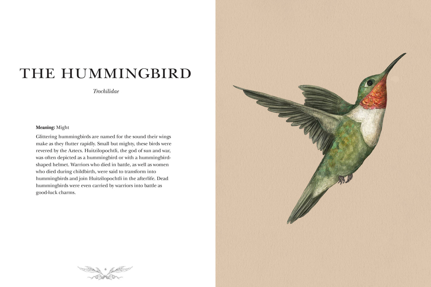 Ornithography
