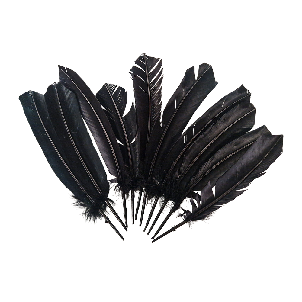 Turkey Feather, 10-12 inch, Single: Black